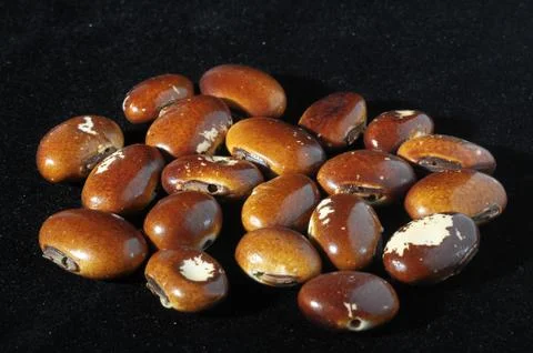 Colored round seeds Foto stock