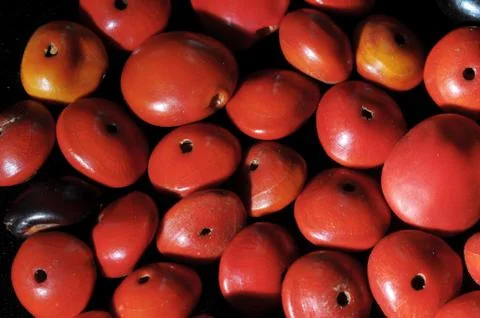 Colored round seeds 스톡 사진