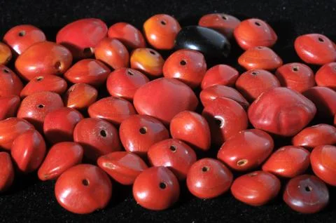 Colored round seeds 写真素材