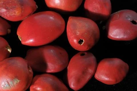 Colored Round Seeds Foto stock