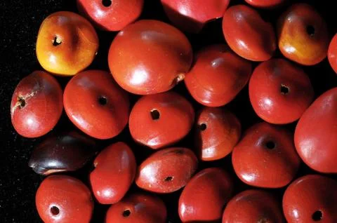 Colored Round Seeds Stock Photos