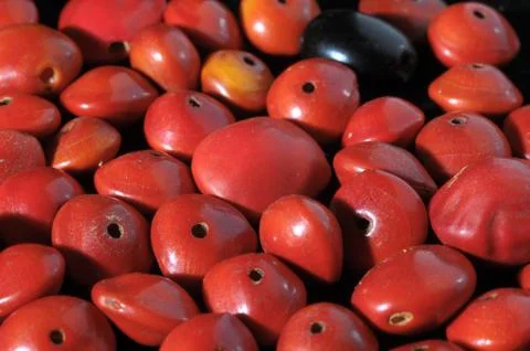 Colored Round Seeds Ready to make Handmade Jewelry Foto stock