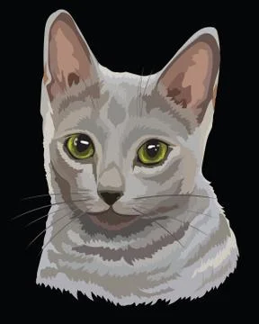 Colored Russian Blue Cat Illustrazione stock