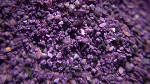 Colored Sand Stock Footage 81736478