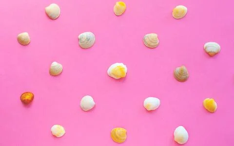 Colored sea, shells on pink background flat lay. Stock-Fotos