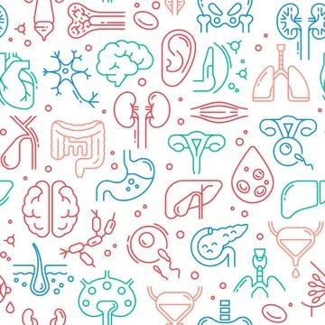 Colored seamless vector pattern on a medical theme consisting of internal human Stock Illustration
