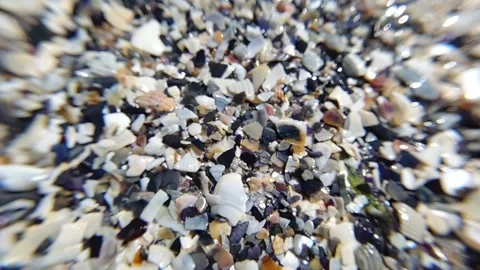 Colored seashells are washed by clear sea water. Close-up. Slow motion Video stock 273306046