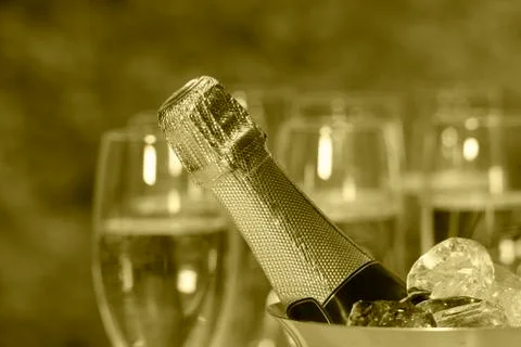 Colored selective focus of a champagne bottle with ice cubes on an out of foc Stock Photos