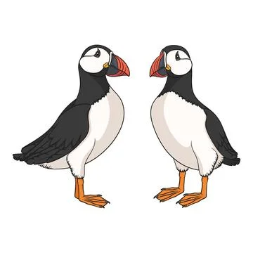 Colored set illustrations with puffin bird Stock Illustration