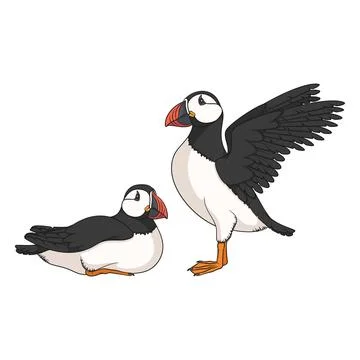 Colored set illustrations with puffin bird Stock Illustration