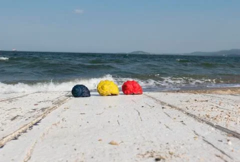 Colored shells on the sea background. Stock Photos