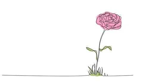 Colored single line drawing of a flower Illustrazione stock