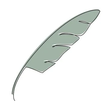 Colored single line drawing of tropical leaf イラスト素材