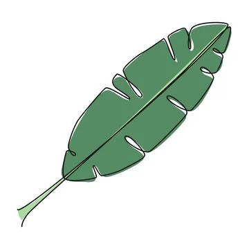 Colored single line drawing of tropical leaf Stock-Illustration