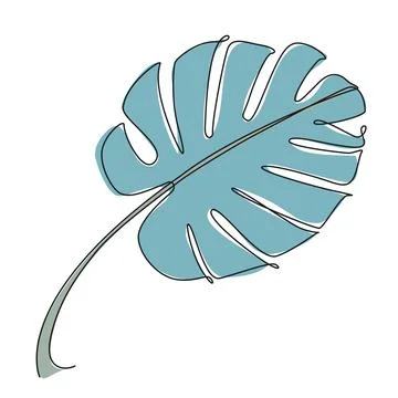 Colored single line drawing of tropical leaf イラスト素材