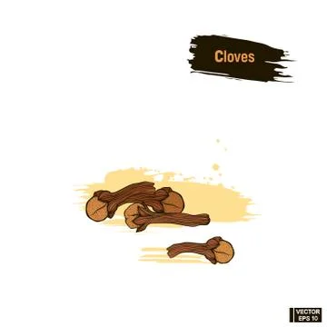 Colored sketch cloves. Иллюстрация