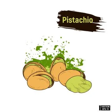 Colored sketch ripe pistachio Stockillustratie