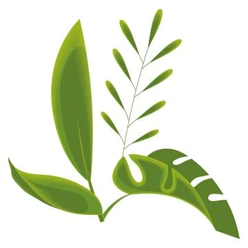 Colored sketch of a tree leaves Vector Stock Illustration