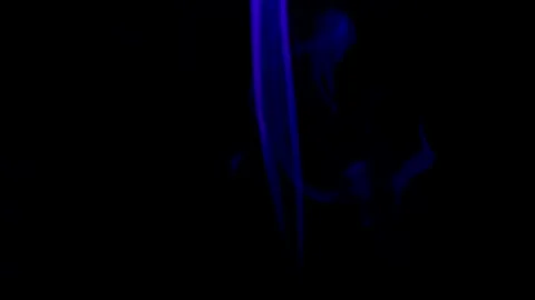 Colored smoke on a black background Stock Footage 249821276