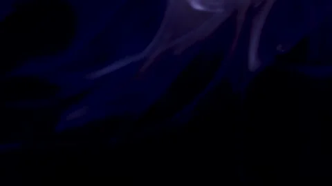 Colored smoke on a black background Stock Footage 249841306