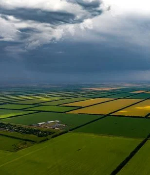 Colored squares of fields in bright colors drone view Stock Photos