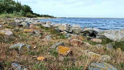 Colored stones as breakwaters. Vídeos de archivo 255709758