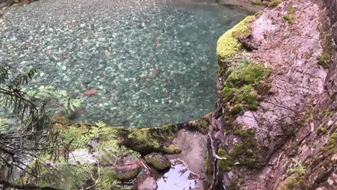 Colored Stones in Stream - Slow Motion Видео 220158370