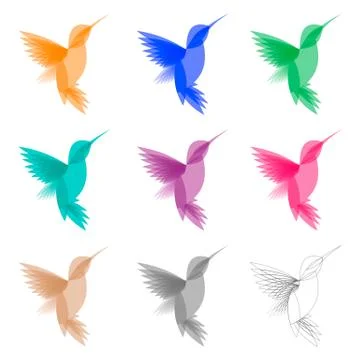 Colored stylized colibri Stock Illustration