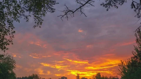 Colored sunset on the sky Stock Footage 76042377