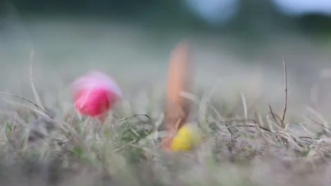 Colored sweet candy handmade Stock Footage 91462060