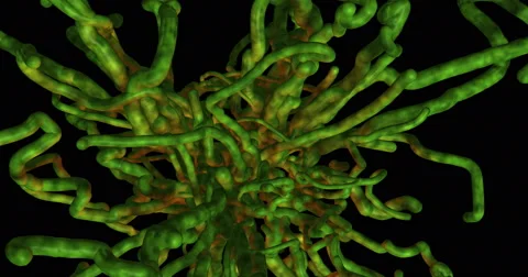 Colored tendrils, tentacles, tubes , plants, virus, cancer growing chaotically Stock-Footage 65418423