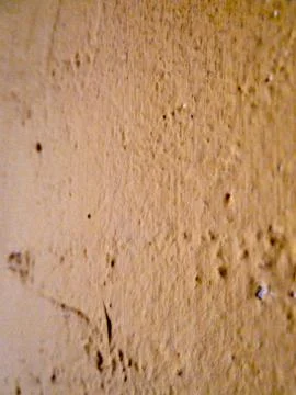 Colored texture Stock Photos