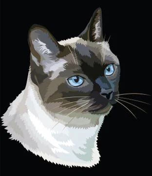 Colored Thai Cat Stock Illustration