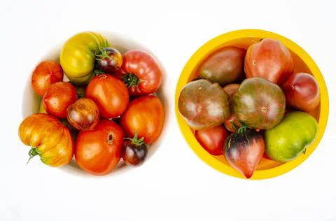 Colored tomatoes of different varieties on white background. Studio Photo Stock Photos