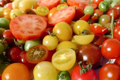Colored tomatoes Fotos Stock