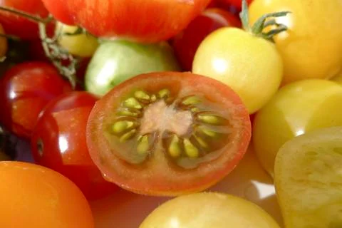 Colored tomatoes Stock Photos