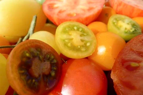 Colored tomatoes Stock Photos
