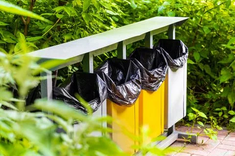 Colored trash container in the park, close-up. Stock Photos