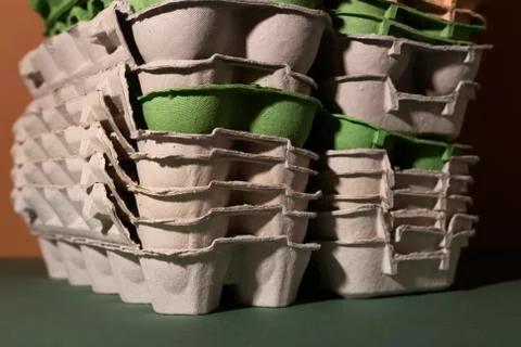 Colored trays from eggs. Garbage collection for recycling concept. Stock Photos