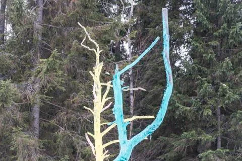 Colored tree trunks against the background of a green forest Foto stock