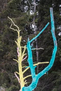Colored tree trunks against the background of a green forest Foto stock