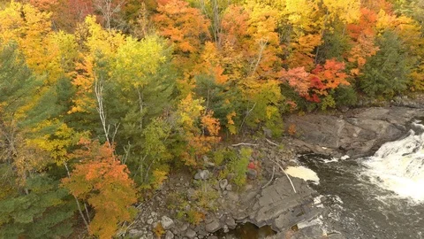Colored trees grow next to river in North America during autumn Stock Footage 119188605