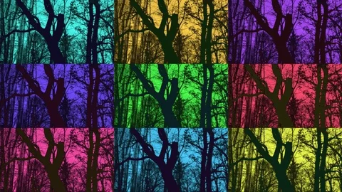 Colored Trees Introduction With Nine Screens And With Many Colors Effect Stock Footage 82337731