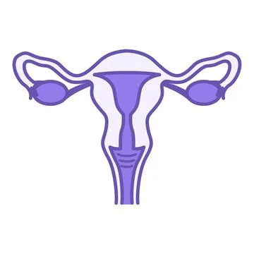 Colored Uterus Icon. Vector Illustration. The Internal Organ Of A Woman In .. Stock Illustration