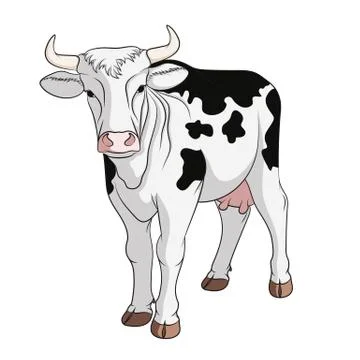 Colored vector cow. Isolated objects on a white. Illustrazione stock