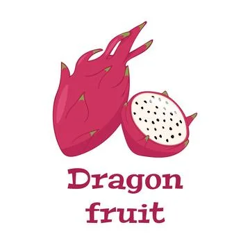 Colored vector illustration of dragon fruit. Design element for fabric, textile Stock Illustration