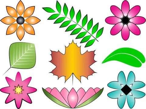Colored Vector Set of Flowers and Leaves Stock Illustration