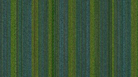 Colored vertical lines 4 Stock Footage 72797824