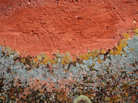 Colored wall wallpaper Stock Photos