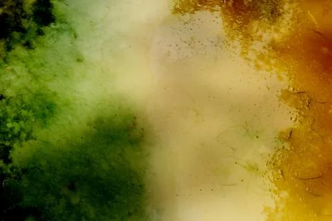 Colored water surface Stock Photos